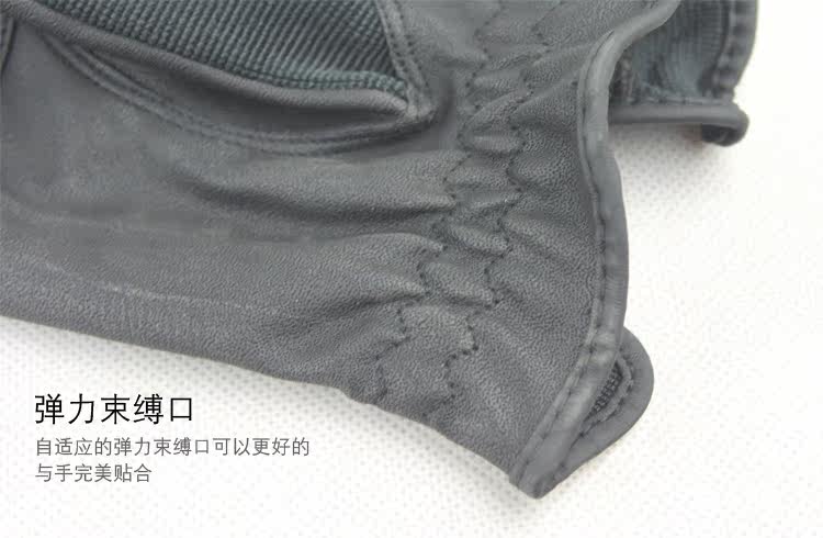 Article équitation en engrener - Ref 1383111 Image 28