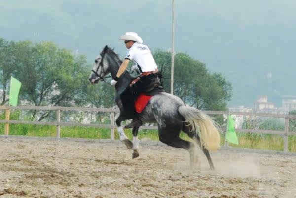 Article équitation - Ref 1382268 Image 15