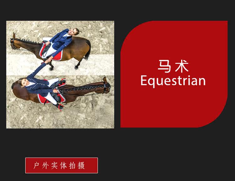 Article sports equestres - Ref 1380344 Image 15