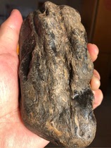 Heilongjiang ancient fern fossil natural large-leaf jade raw stone carving material ornaments 360g