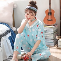 T Короткая длина голубая точка волны красные фрукты