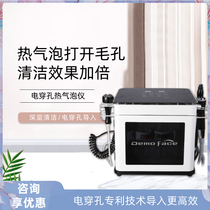 Small Gas Bubble Beauty Instrument Skin Management Comprehensive Instrument Hot Gas Bubble Cleaner Suction Black Head Beauty Salon Special