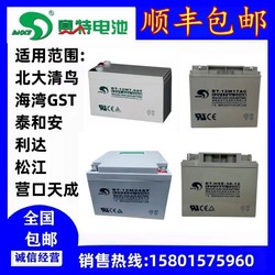 걸프 GST Songjiang Lida Tiancheng Taihean 화재 호스트 EPS 비상 경보 백업 배터리 BT-12M