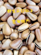 Wild pine nuts a specialty of Northeast China snack nuts open pine nuts a specialty of Kuandian