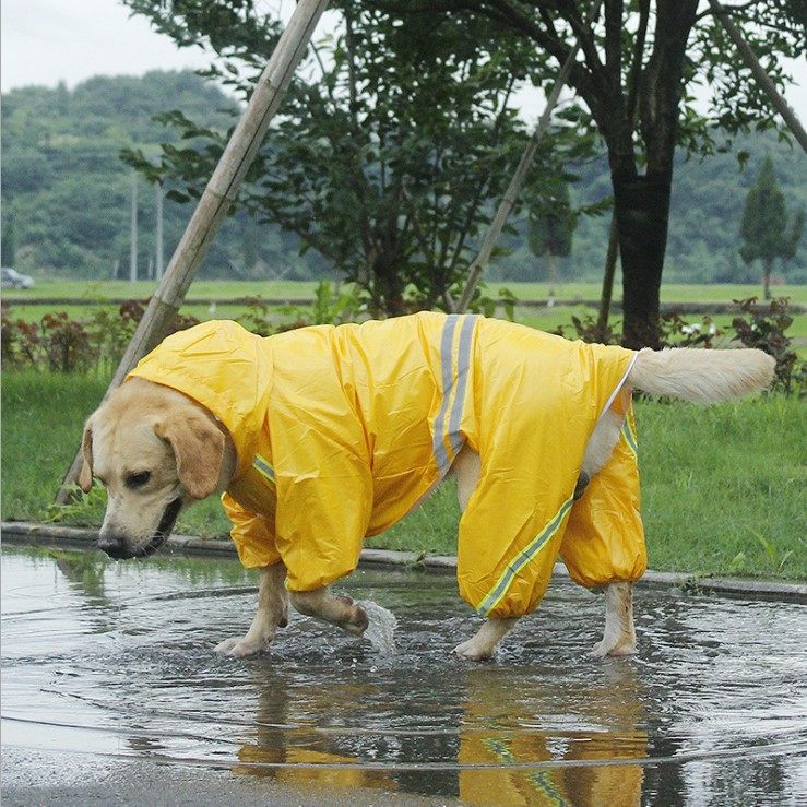 Dog raincoat medium and large golden retriever four-legged all-inclusive waterproof clothes teddy bichon shiba dog pet puppy raincoat