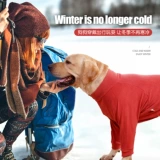 Демисезонный цветной пуховик, бархатная утепленная толстовка