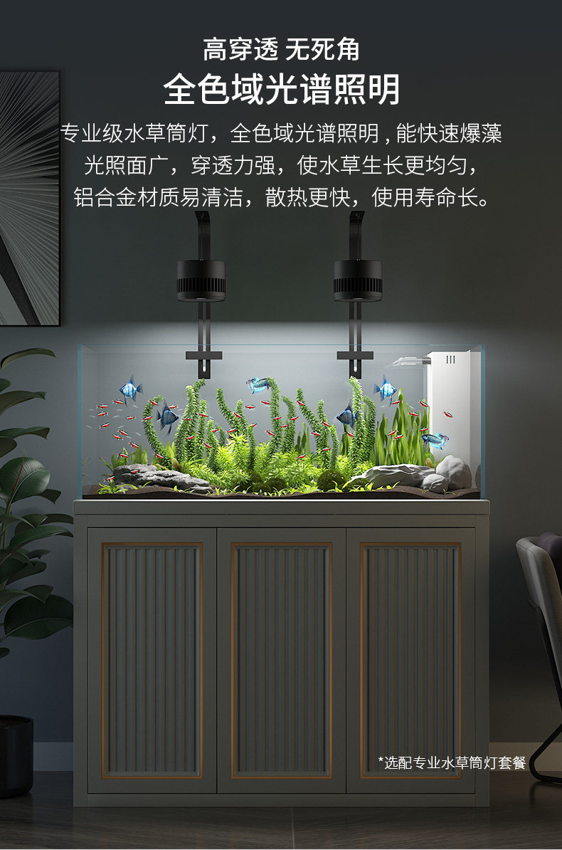 德克超白玻璃造景缸水草缸客厅家用小型免换水生态底过滤兰寿鱼缸