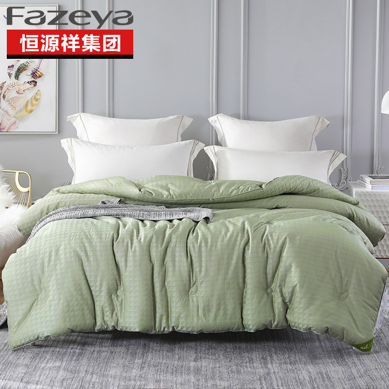 Hengyuan Xiangfeng Home Simply New Family Shu was kept warm by Chemical Fiber in winter by adult household