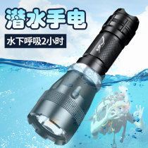 Skyfire diving LED flashlight charging underwater strong light outdoor super bright long-range charging lighting waterproof night diving