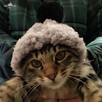 Spot Japanese MARUKAN pet cross-dressing hat pet decorative hat cute pet hat