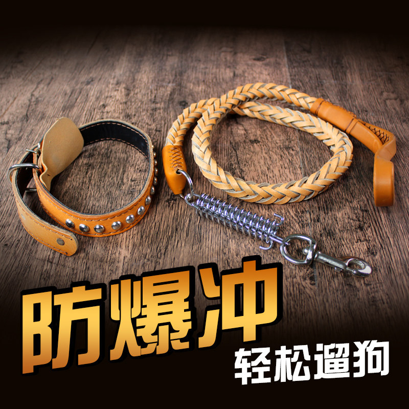 Medium-sized large dog dog leash with golden retriever Labrador cowhide collar walking dog rope dog chain supplies
