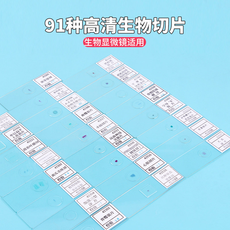 生物显微镜观察标本切片动物植物细胞细菌样本玻璃载玻片儿童实验学生中考神经/上皮/结缔/肌肉组织91种