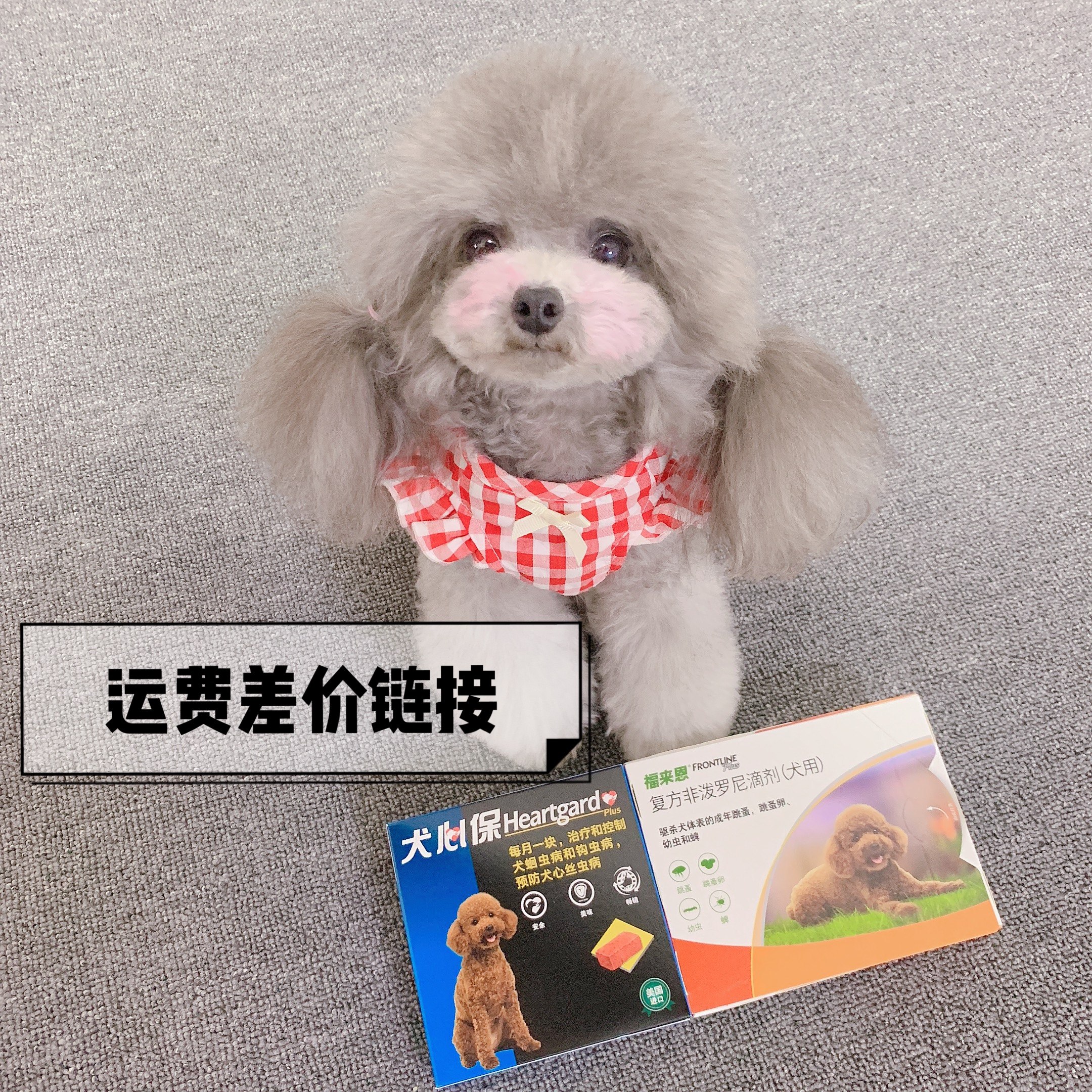 Freight difference hyperlink, single shot does not ship, the flowery world of glutinous rice, vibrato glutinous rice dumplings