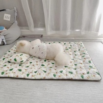 ITSPET Korea Pets Cool Mat All Season Universal Cool Mat Small & Medium Dog Teddy Bib Bear Dog Nest ITSDOG