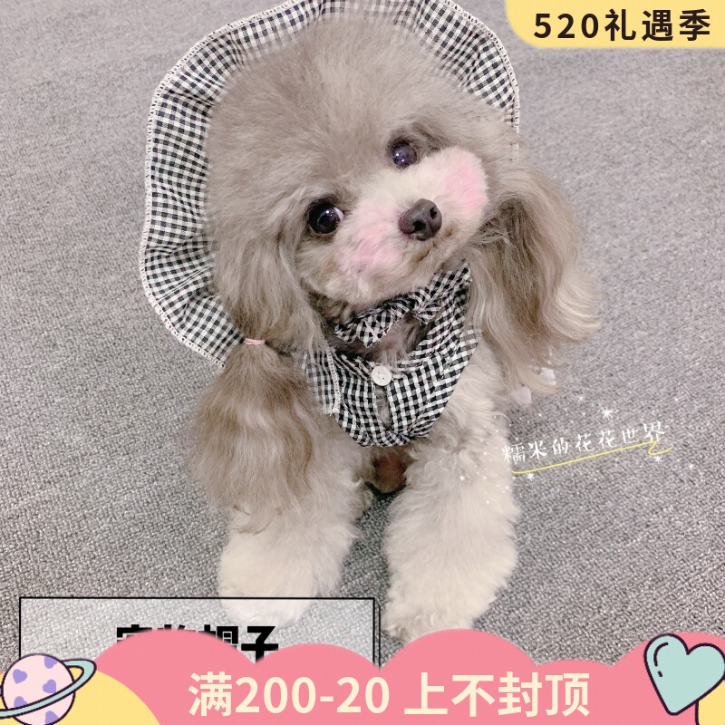 Sticky Rice Home Hat Sold cute decoration Puppy kitty Pets Shade Hat Sun Hat Sun Hat Photo Pooch Trinket Spring Summer