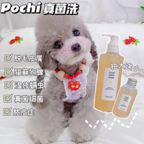 POCHI shower gel fungus wash cat milk ringworm 250ML pet antipruritic shampoo bath skin cat and dog dander