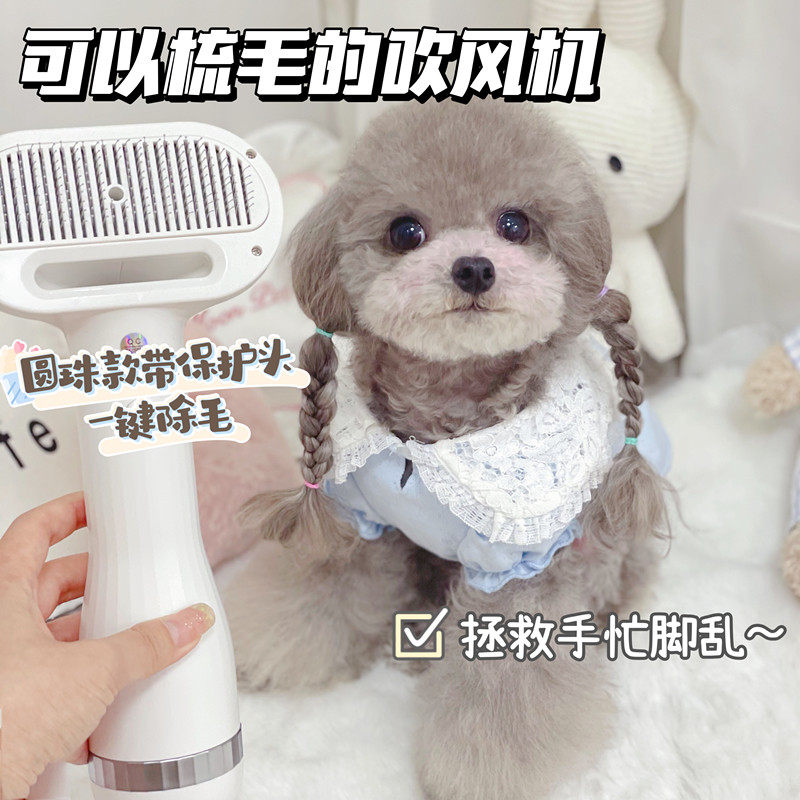 Glutinous rice home Janes pet hair-pulling machine drying hair-blowing hair-pulling one-piece dog with bath teddy dog ​​comb