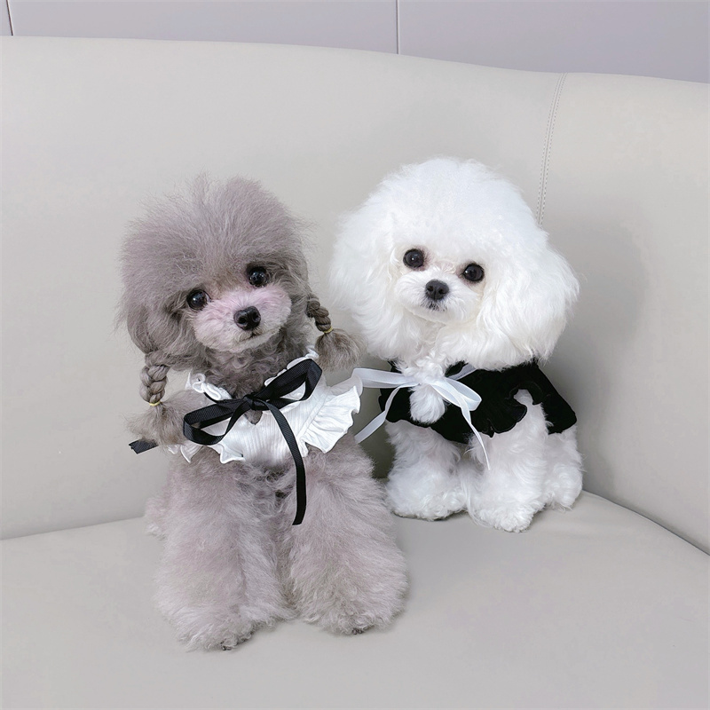 Spring, Autumn, and Winter Tie-Neck Versatile Flutter-Sleeve Black and White Base Shirt Pet Clothes for Cats and Dogs, Teddy, Bichon, Cotton Ribbed Fabric