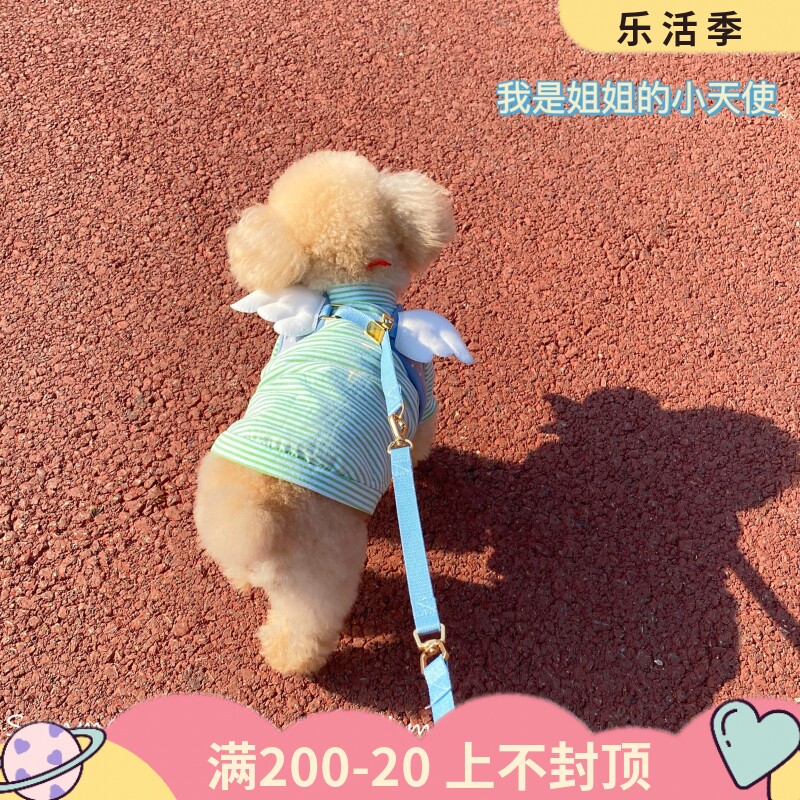 Glutinous rice Home Korea ITSDOG Angel Bee Chest Holding Baby Bag Wings for dog traction Rope Dogs Out for small and medium dogs