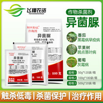 Fumei prominence isobacillus urea cucumber grape gray mold spot disease early blight pesticide fungicide 50g