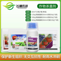 Codiva DuPont wins green cucumber grape cabbage tomato late blight downy mildew pesticide fungicide