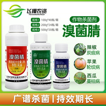 Jiangsu Teo Ball Charcoal Terene Bromobnil Strawberry Vegetable Pepper Apple Grape Watermelon Anthrax Snocidomycicide