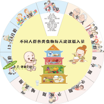 Kang Yao different groups of food every day recommended intake turntable healthy large turntable wall-mounted turntable