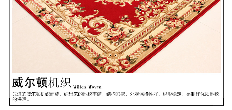 Phòng ngủ châu Âu nhà tấm thảm nhà cửa mat dày cửa vuông sàn mat foyer phòng khách mat foyer mat - Thảm thảm 3d phòng khách
