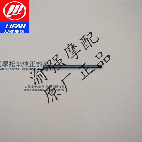 Lifan KPS200 KPT200 LF200-10R Front axle rear axle rear fork axis full axle