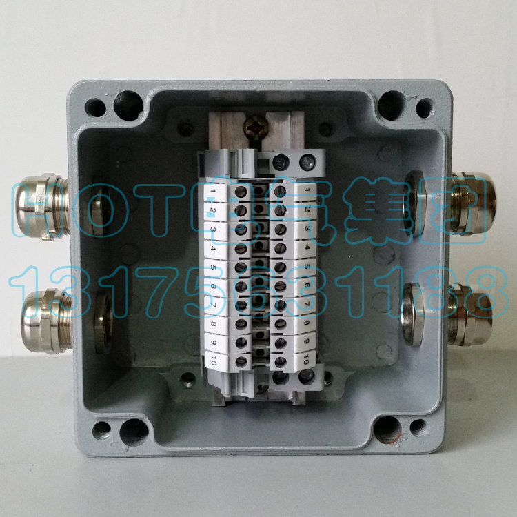 Two-in-two-out explosion-proof junction box with terminal cast aluminium waterproof case transfer case power overwire box cable splitting wire box