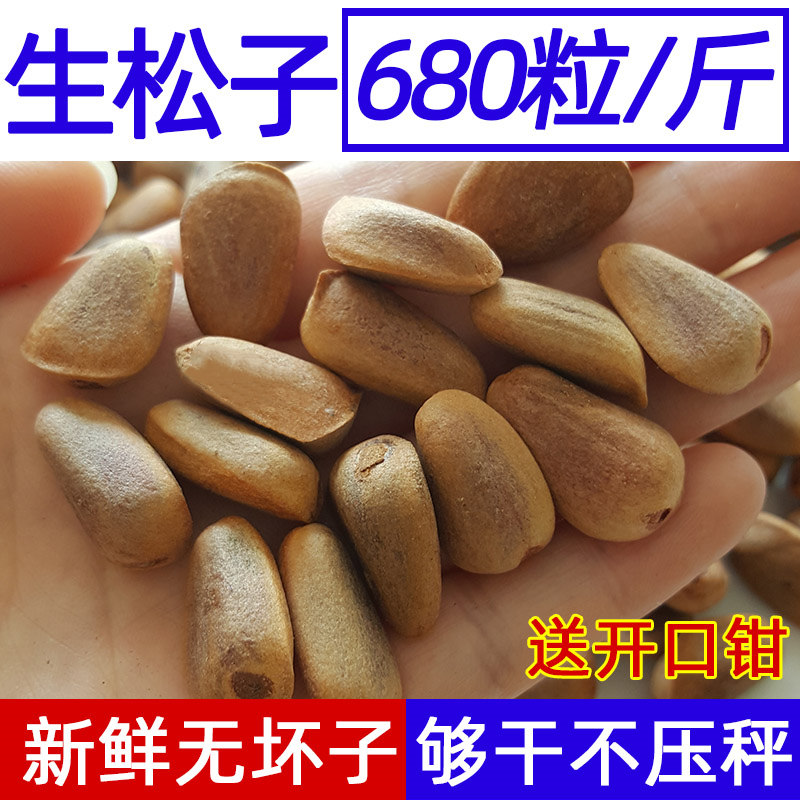 2022 Pine fresh fresh nuts produced natural wild fresh nuts original flavor of dried fruit 500g