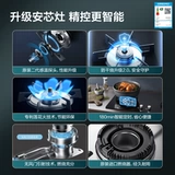 Риннаи Чжуо Оптическая частотная диапазон давления давления давления на гуд газовый пакет 10JD+03LS