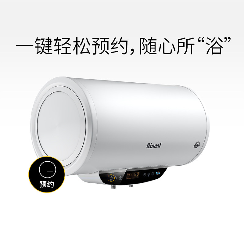 rinnai/���ڴ�ˮʽ����ˮ��dsgc