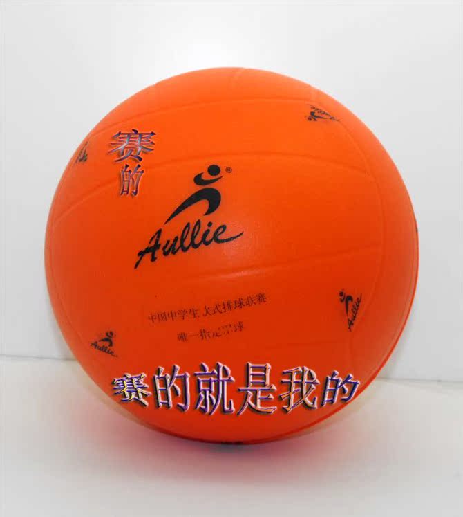 Ballon de volley - Ref 2011130 Image 22