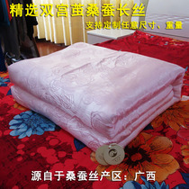 Double Palace cocoon silkworm long silk quilt core autumn and winter Tencel jacquard inner daughter can be customized baby children Air conditioning quilt