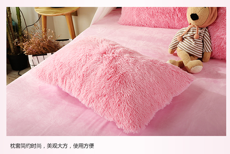 Phiên bản Hàn Quốc của cashmere nhung nhung nhung màu rắn nước nhung bốn mảnh mùa đông dày tấm chăn ấm chăn - Bộ đồ giường bốn mảnh bộ drap giường 1m6