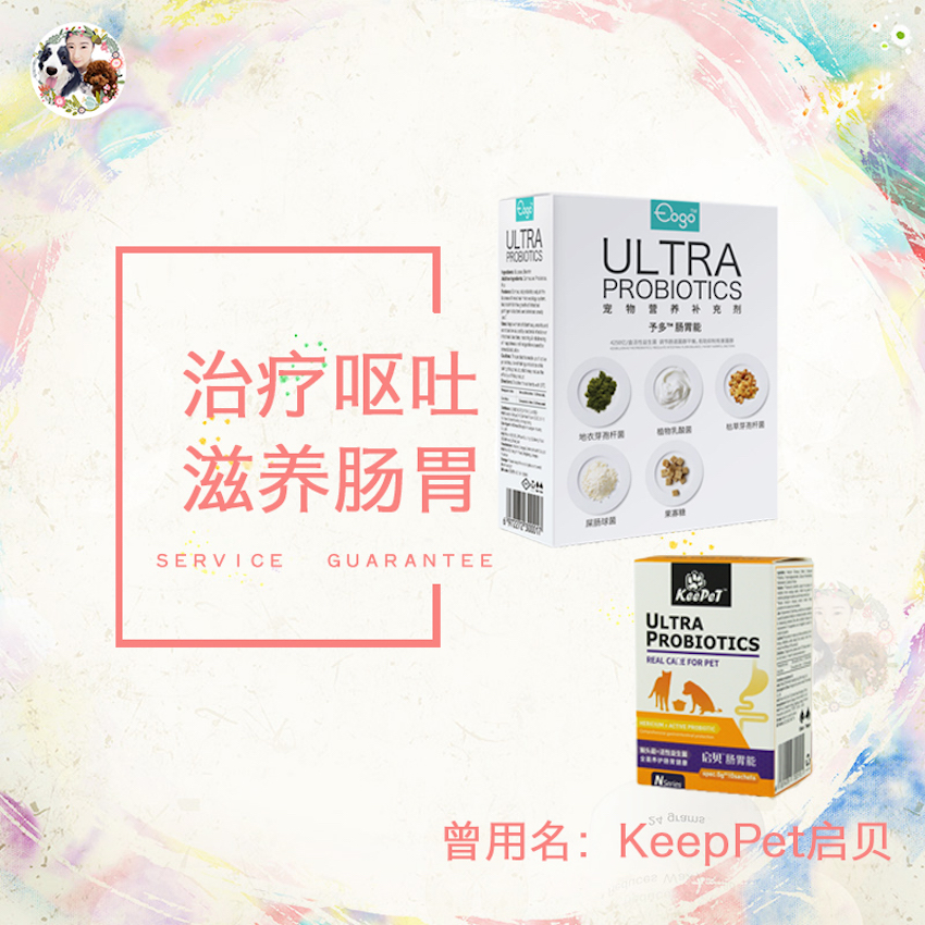 AngelPet enlightens US Eogo to multidog cat and dog kittens gut can gut probiotic conditioning gut