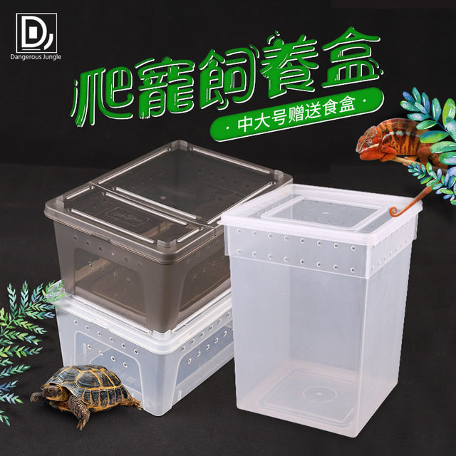 Reptile climbing pet feeding box Palace lizard Scorpion spider Horned frog Beetle Insect hermit crab Turtle tank feeding box