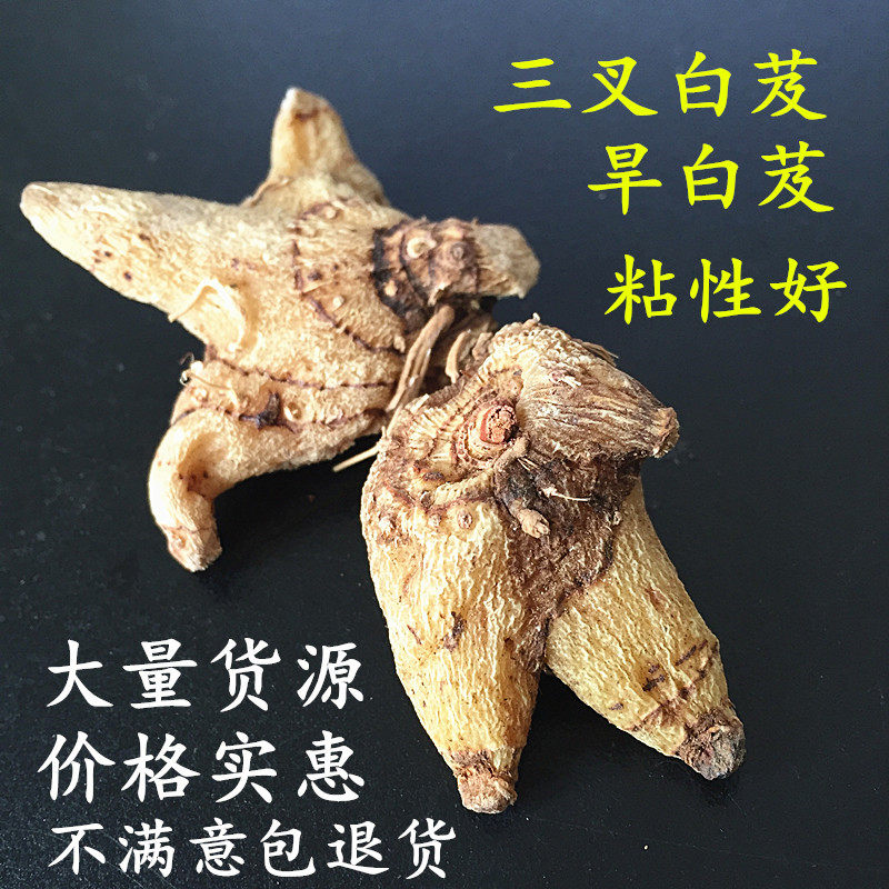 Baiji whole dried Baiji Wild Chinese herbal medicine Baiji and Baiji tablets Baiji powder