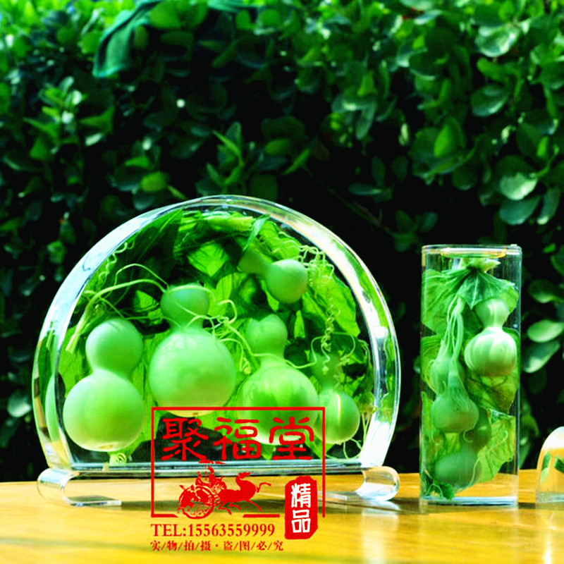 Natural fresh green Real gourd home office decoration crafts gifts for 50 years without color change