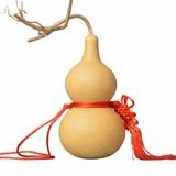 Натуральный фэн -шуй тыкв тыква дома город Таун Таун Самая Фортуна принесит лидирующие кулонку «Большие тыквы Моторс»