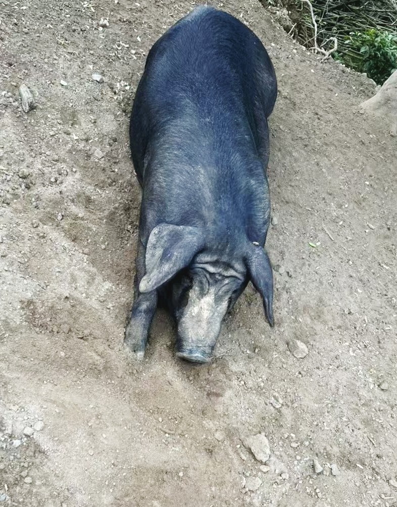 阿秀生鲜