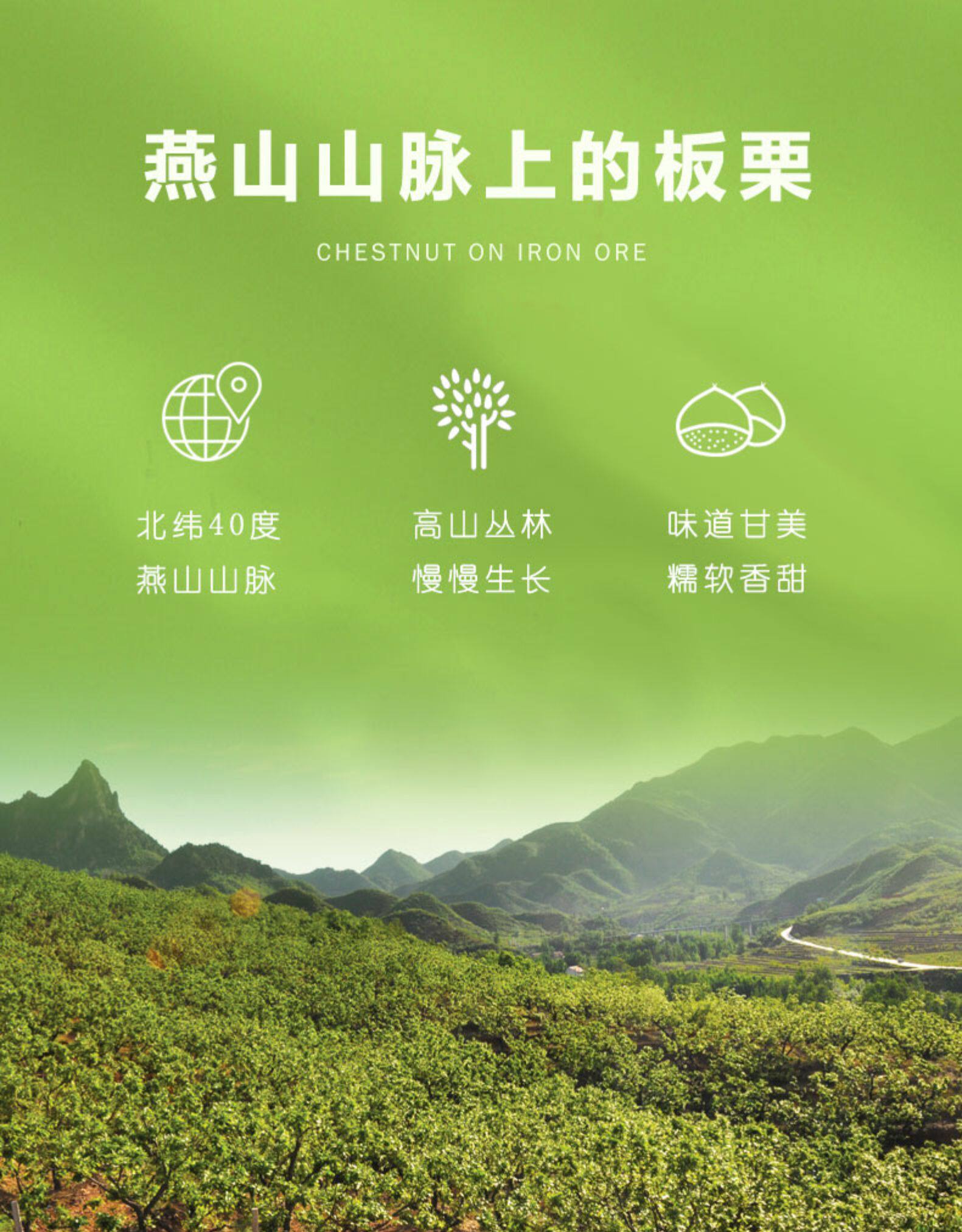 神栗 有机板栗仁100g*3 图2