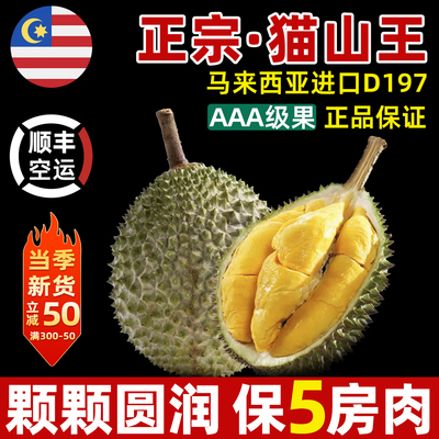 Продвинутый гурман | Бриллиантовый бренд Musang King Durian D197 SF Бесплатная доставка