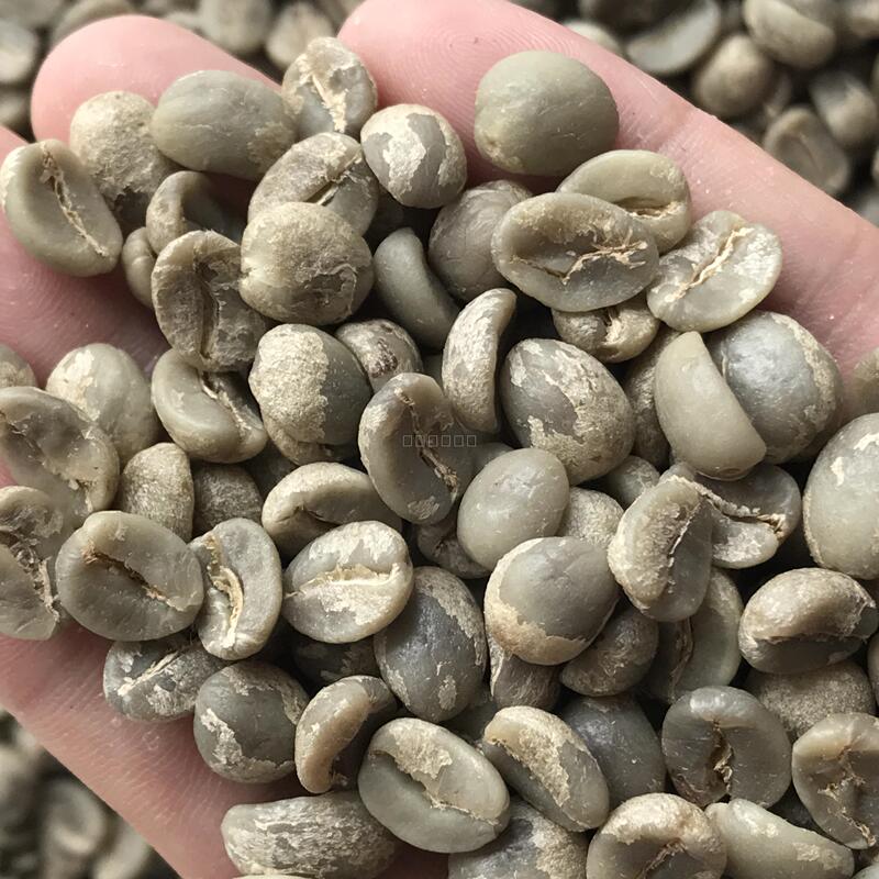 Macadamia Coffee Raw Beans Macadamia Coffee Macadamia Conna Raw Coffee Beans 1000g 