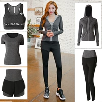 Светоотражающая куртка, бюстгалтер, штаны, шорты, короткий рукав