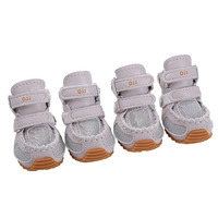 Серебряные туфли сорок звездного света