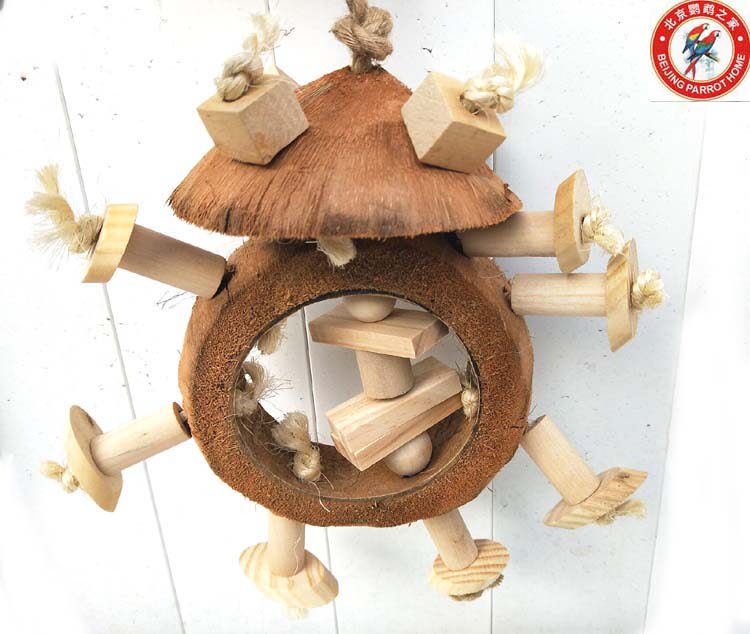 Medium Large Parrot Natural Coconut Shell Log Primary Color Nibble Toy Outlet Grade Bird Cage Bird Shelf Pendant Supplies