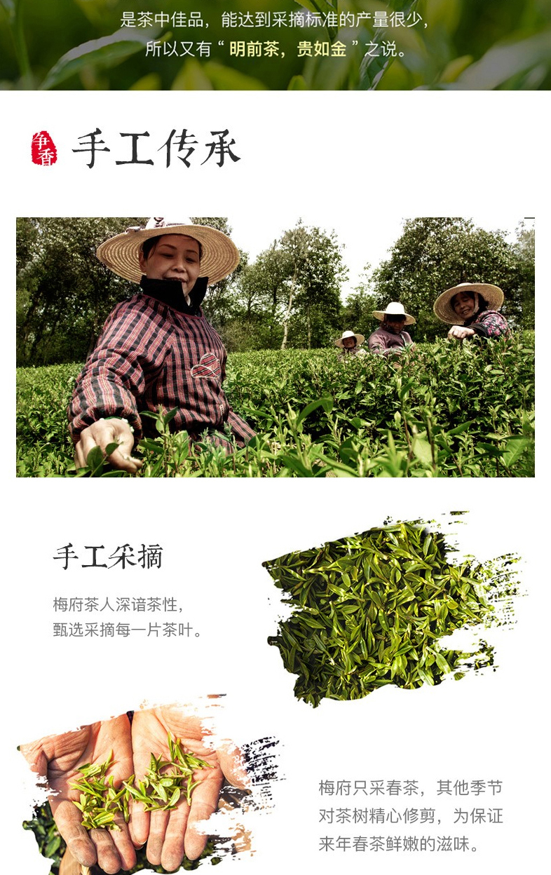 梅府茗家 明前特级 西湖龙井 250g 一级核心产区 图5