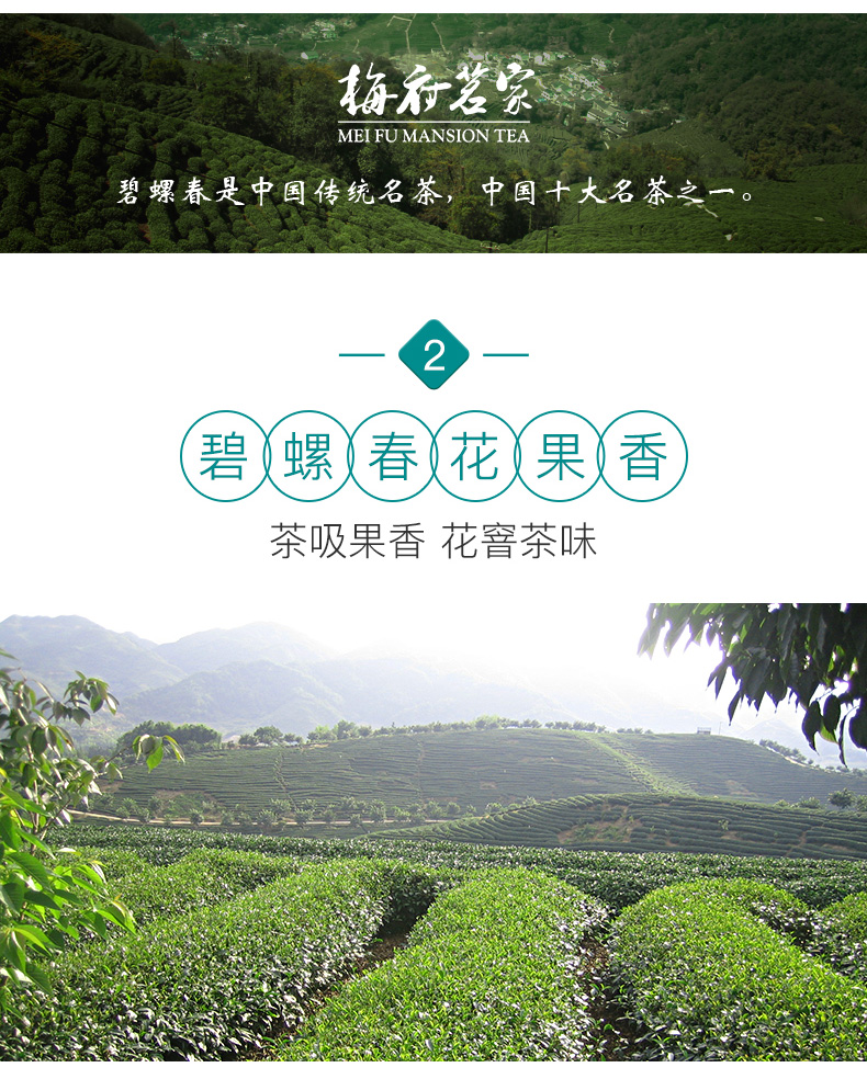 梅府茗家 2020年新茶 浓香型绿茶碧螺春 250g 图3